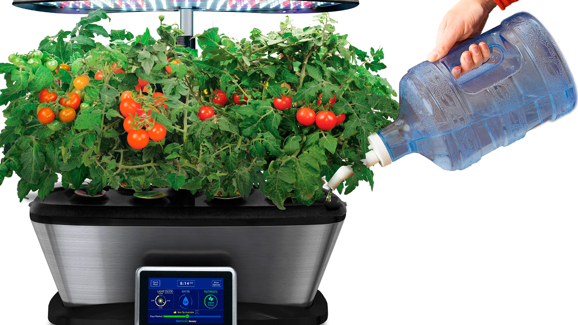 Aerogarden hero asset