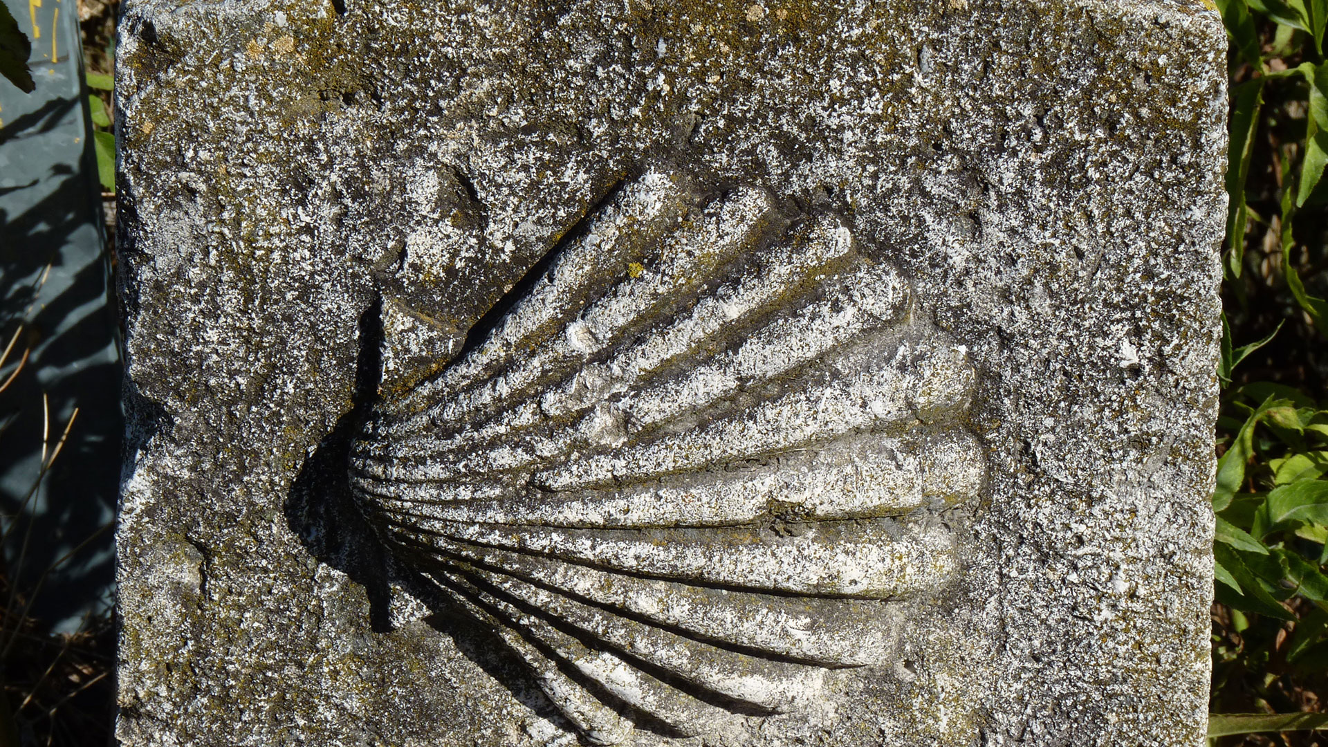 Camino Santiago hero asset