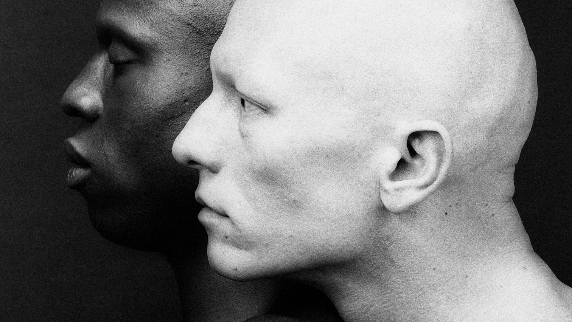 MAPPLETHORPE hero asset