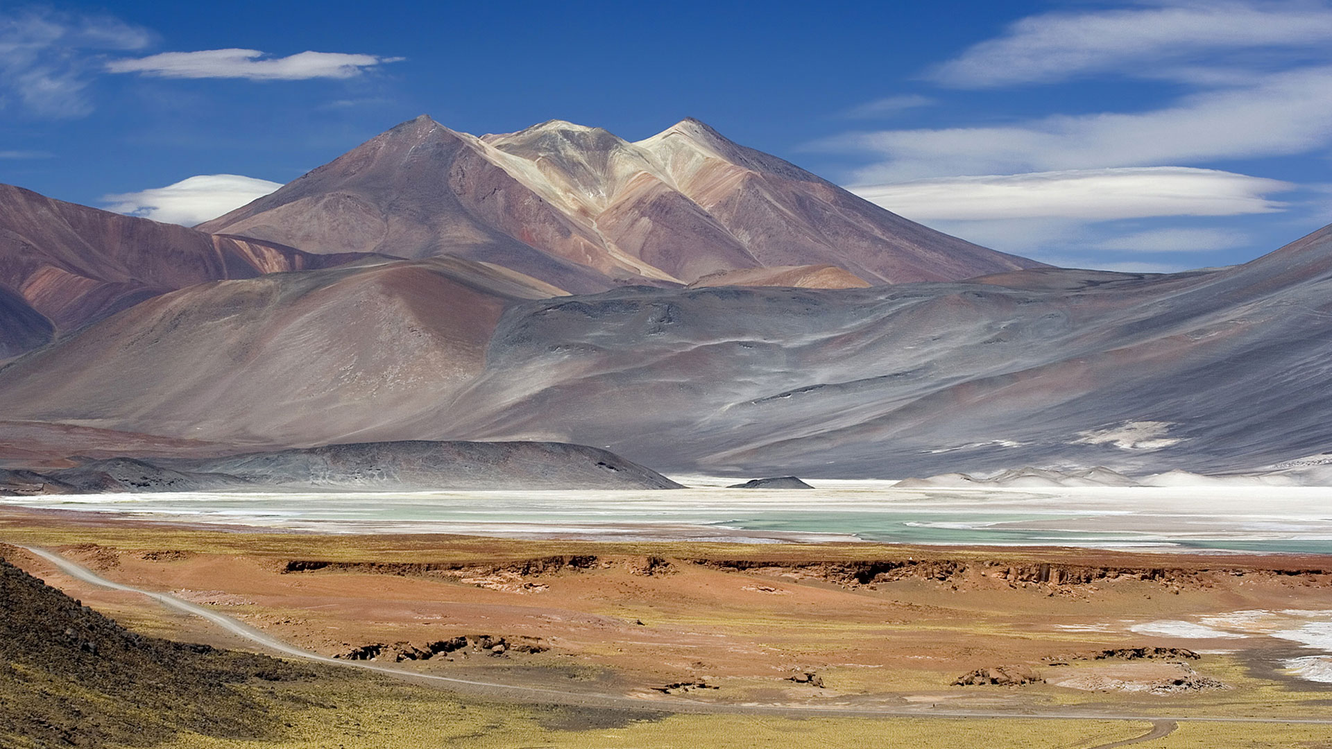 Oasis en el desierto hero asset