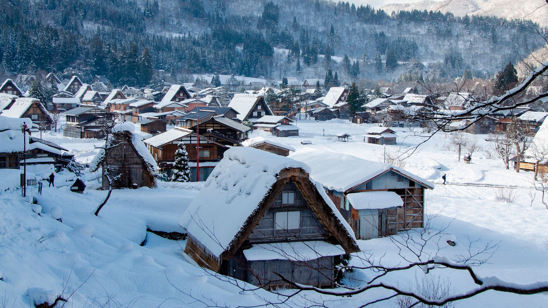 El invierno en Japón hero asset