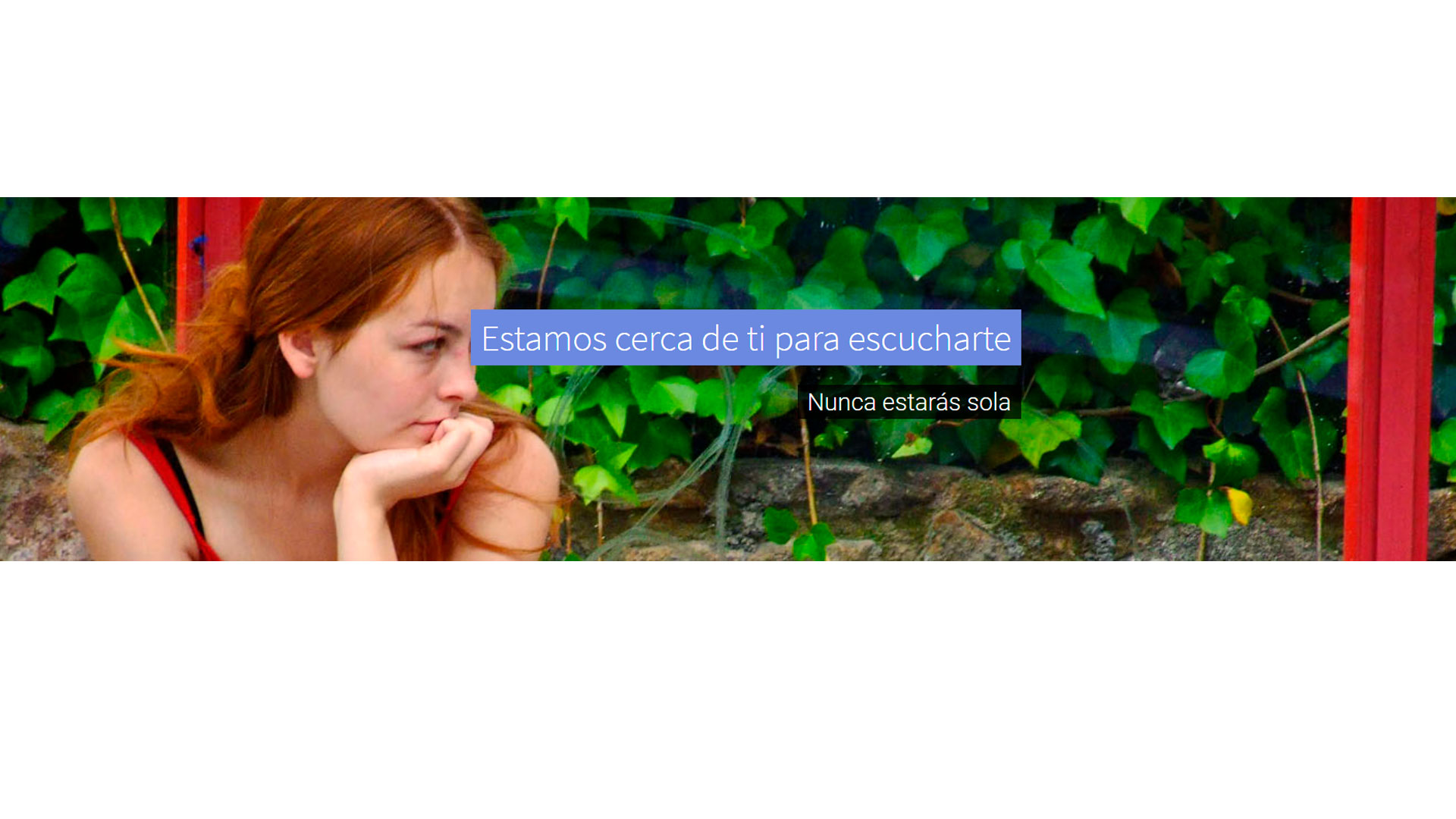 Imágenes de acciones solidarias Lexus