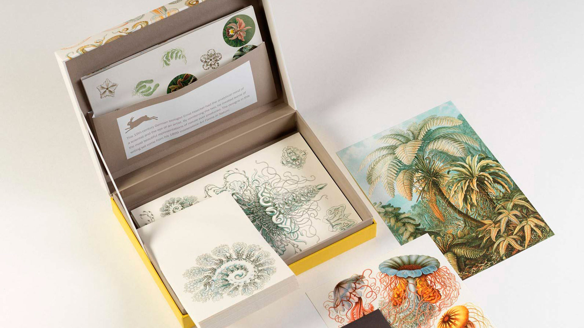 Imagen de productos de la tienda de decoración Batavia