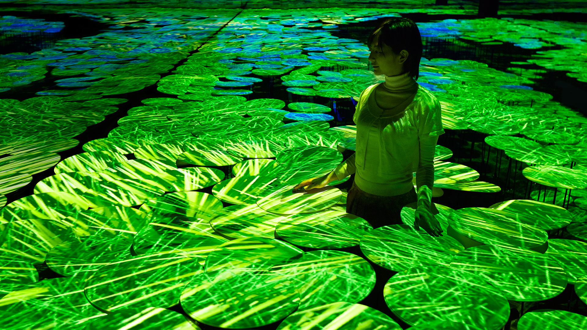 Campos de arroz tecnológicos hero asset