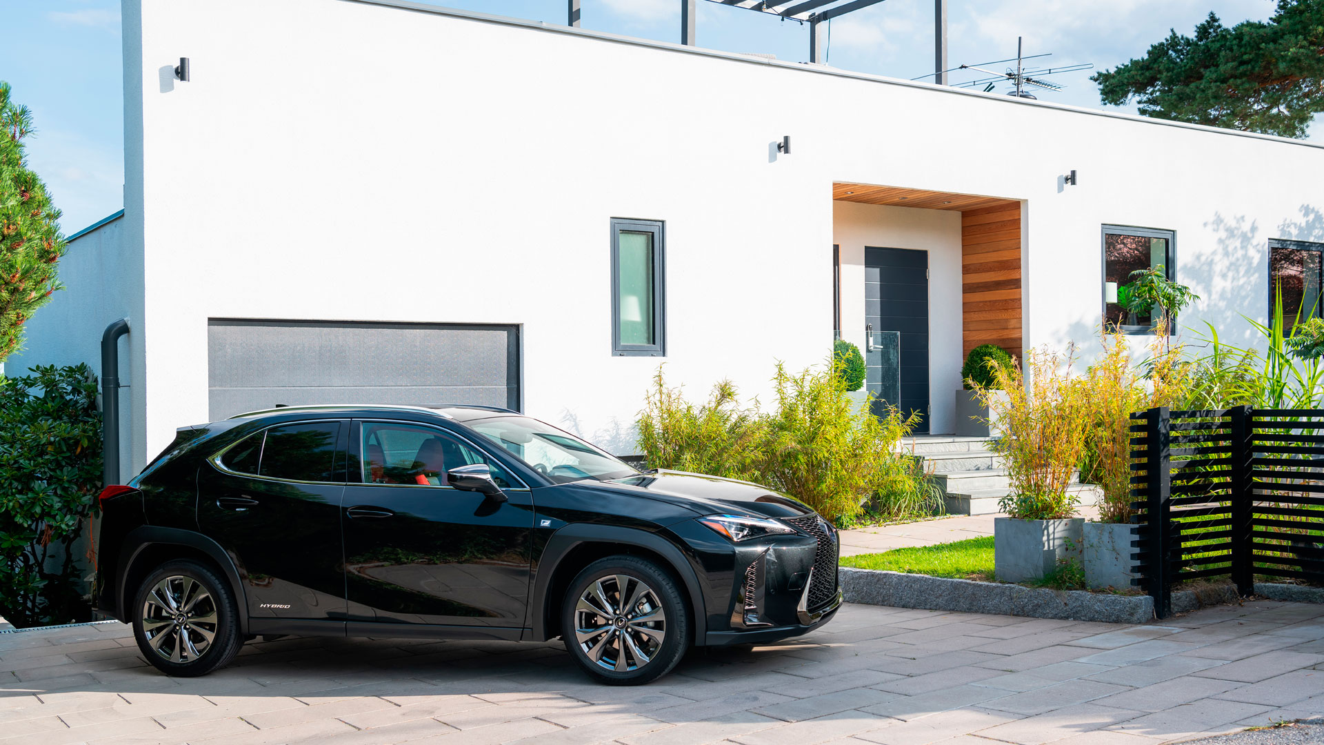 Desinfecta tu lexus hero asset