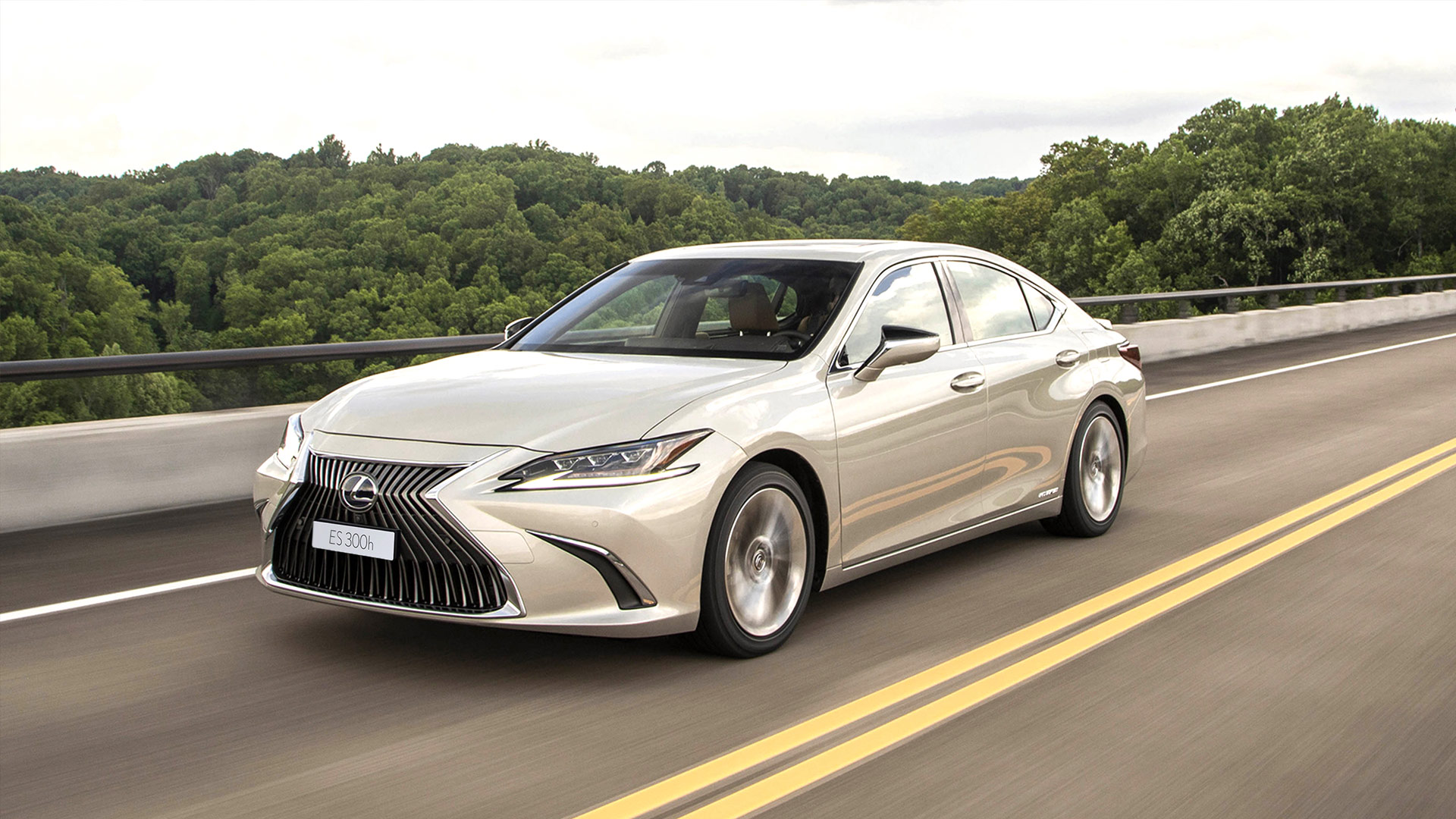 lexus financial services