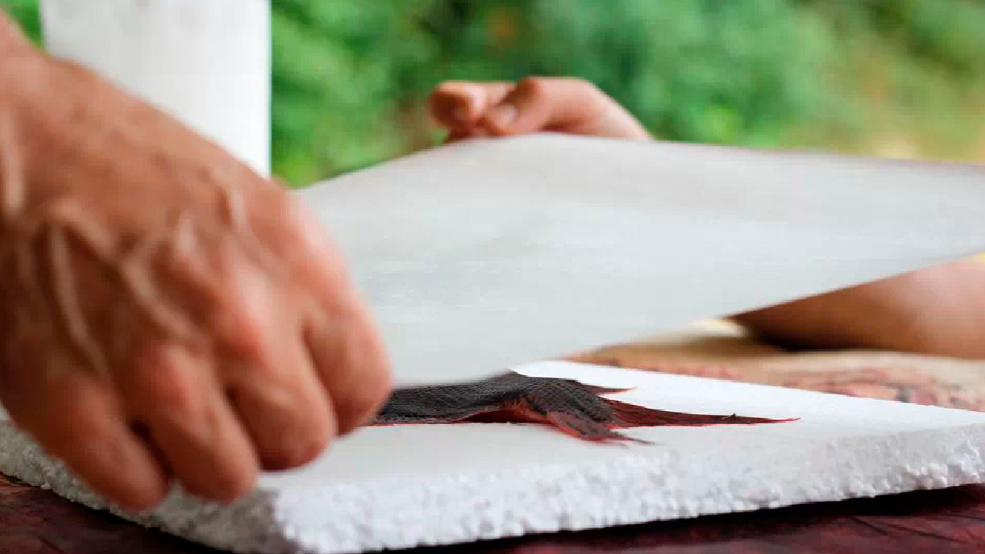 Imagen de la estampación Gyotaku