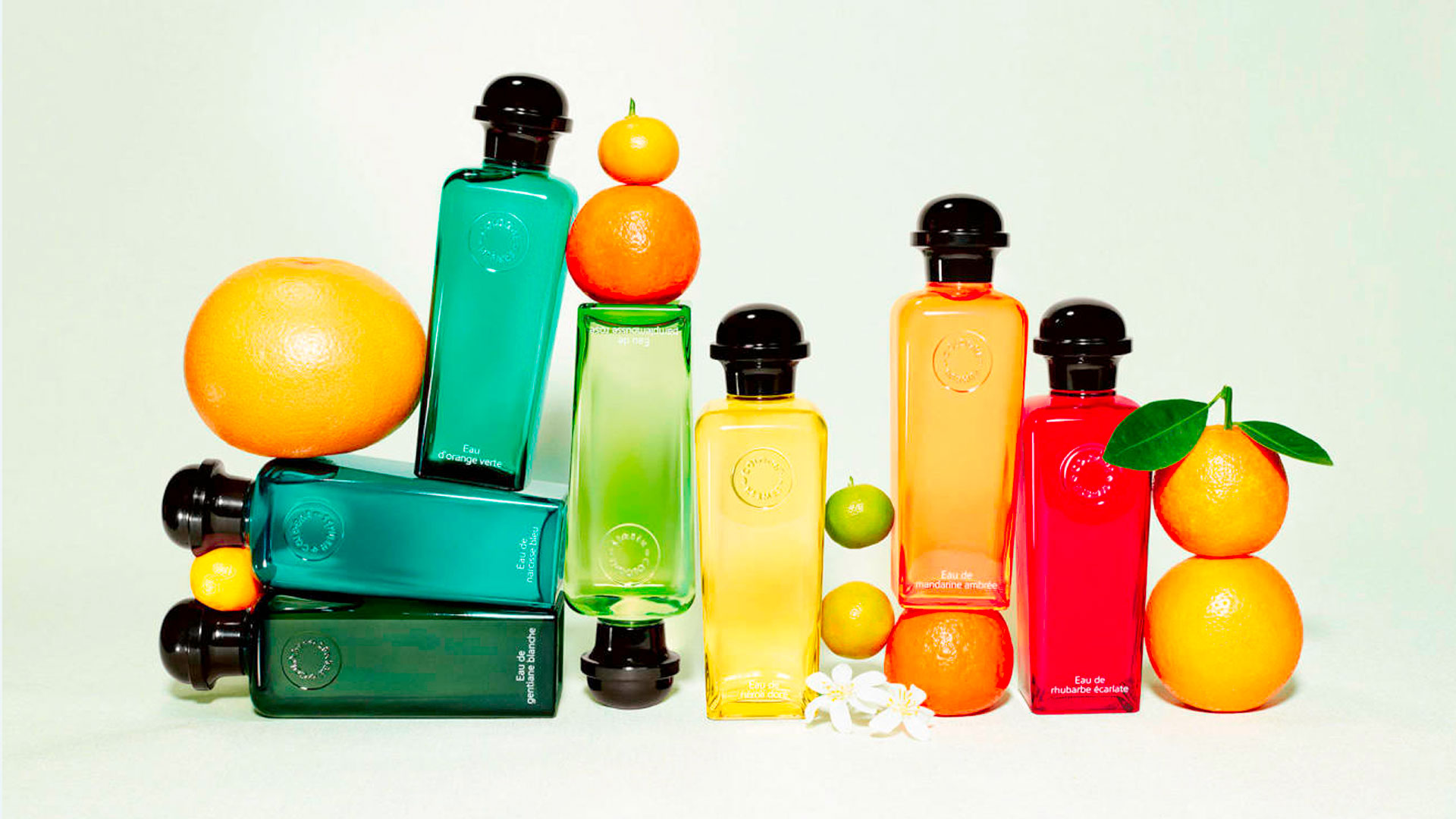 Bodegones de productos de la marca Hermès