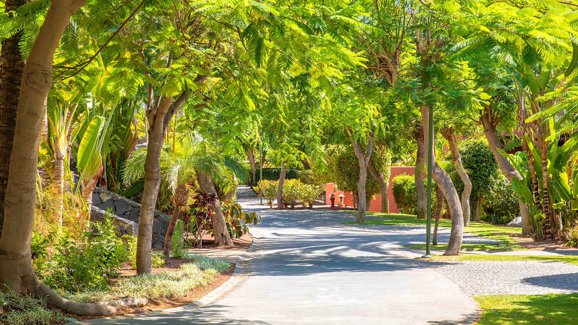 Imagen del hotel Abama