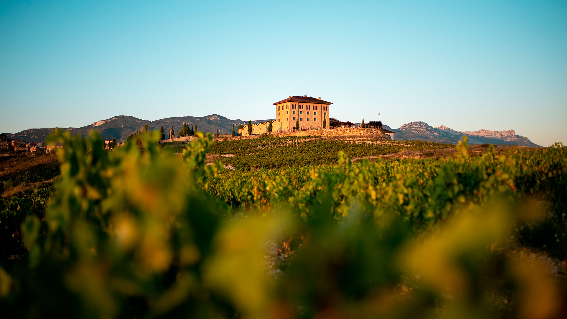 Un fotógrafo y un clérigo homenajean a La Rioja hero asset