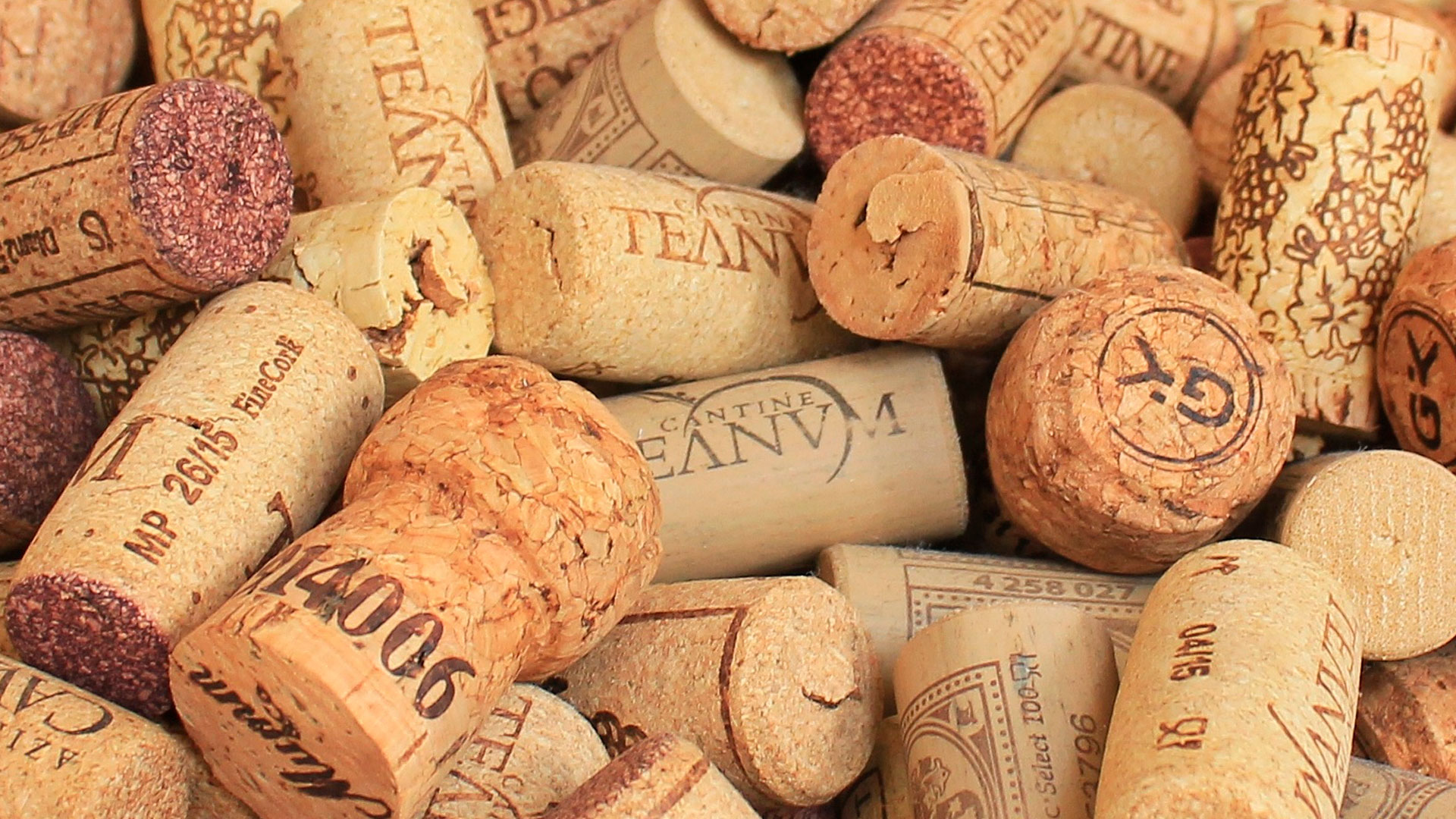 Vinos con olfato hero asset