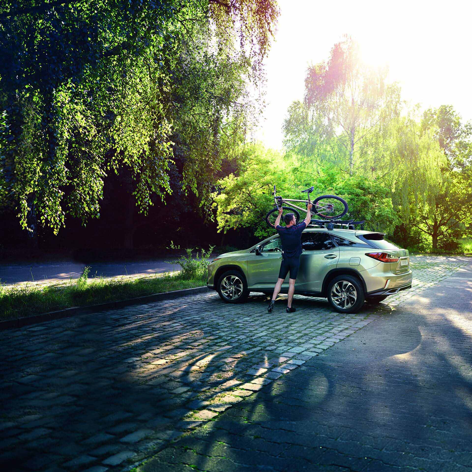 2017 lexus rx 450h accessories