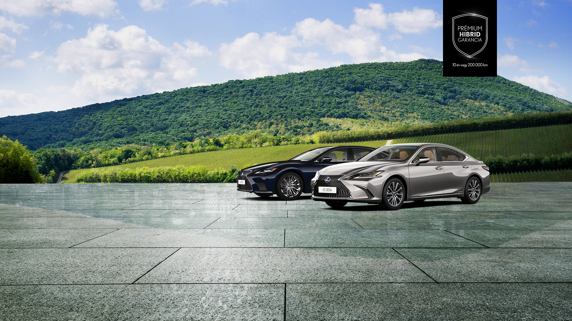 Copy of Copy of Premium Sedan Hero