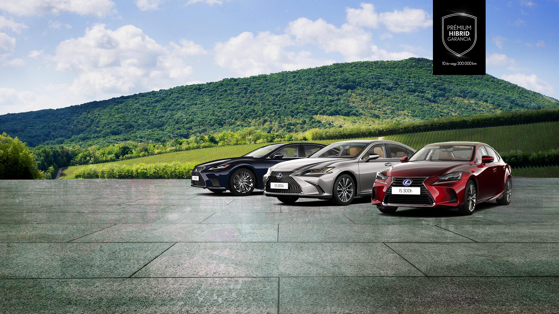 Copy of Copy of Premium Sedan Hero