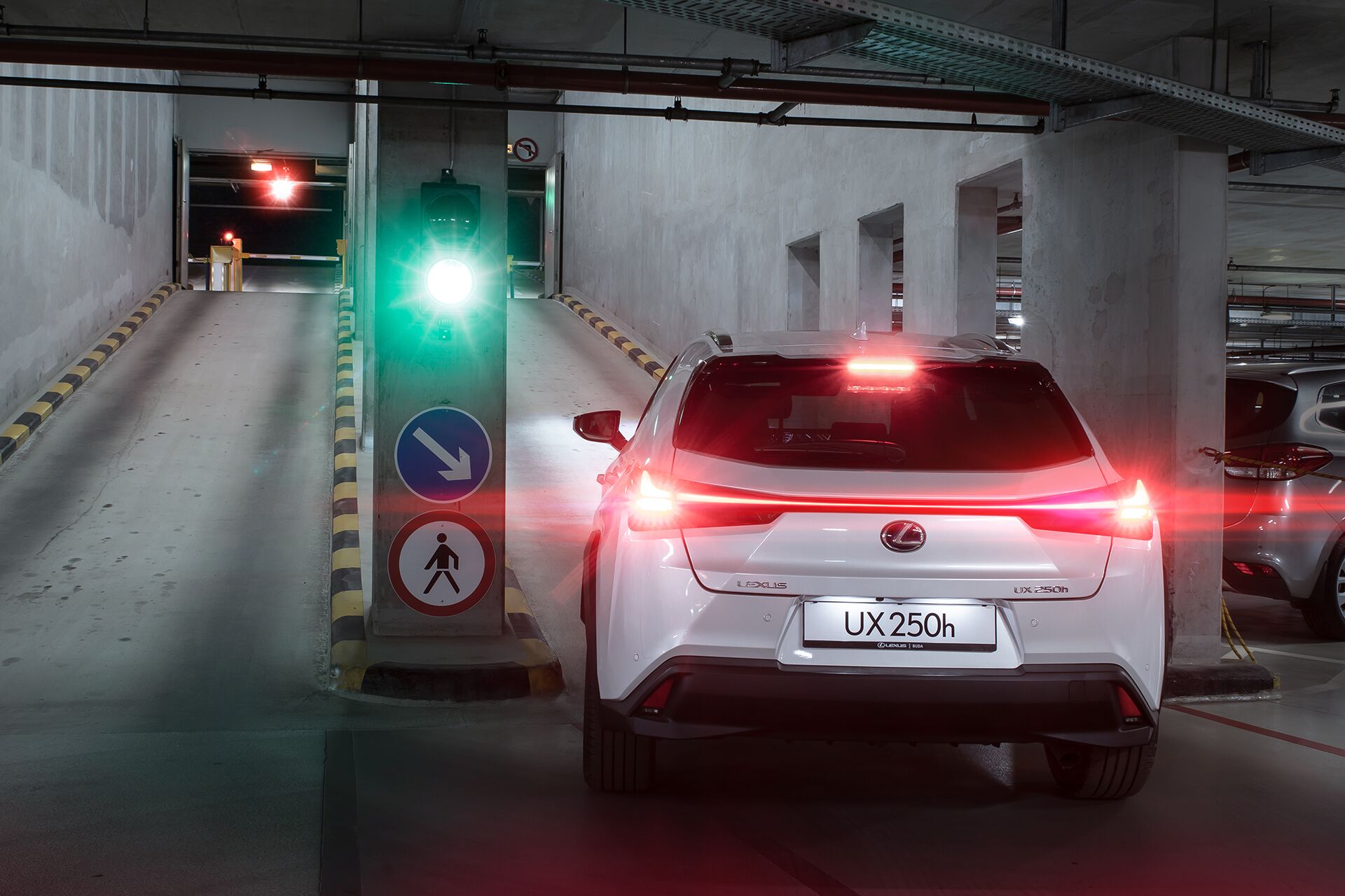 Weisz Fanni Lexus UX 17