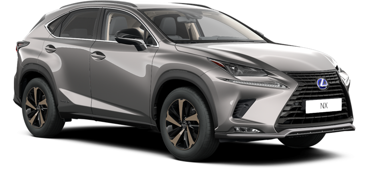 NX 2021 day exterior 04 1J7 cerchi bronze