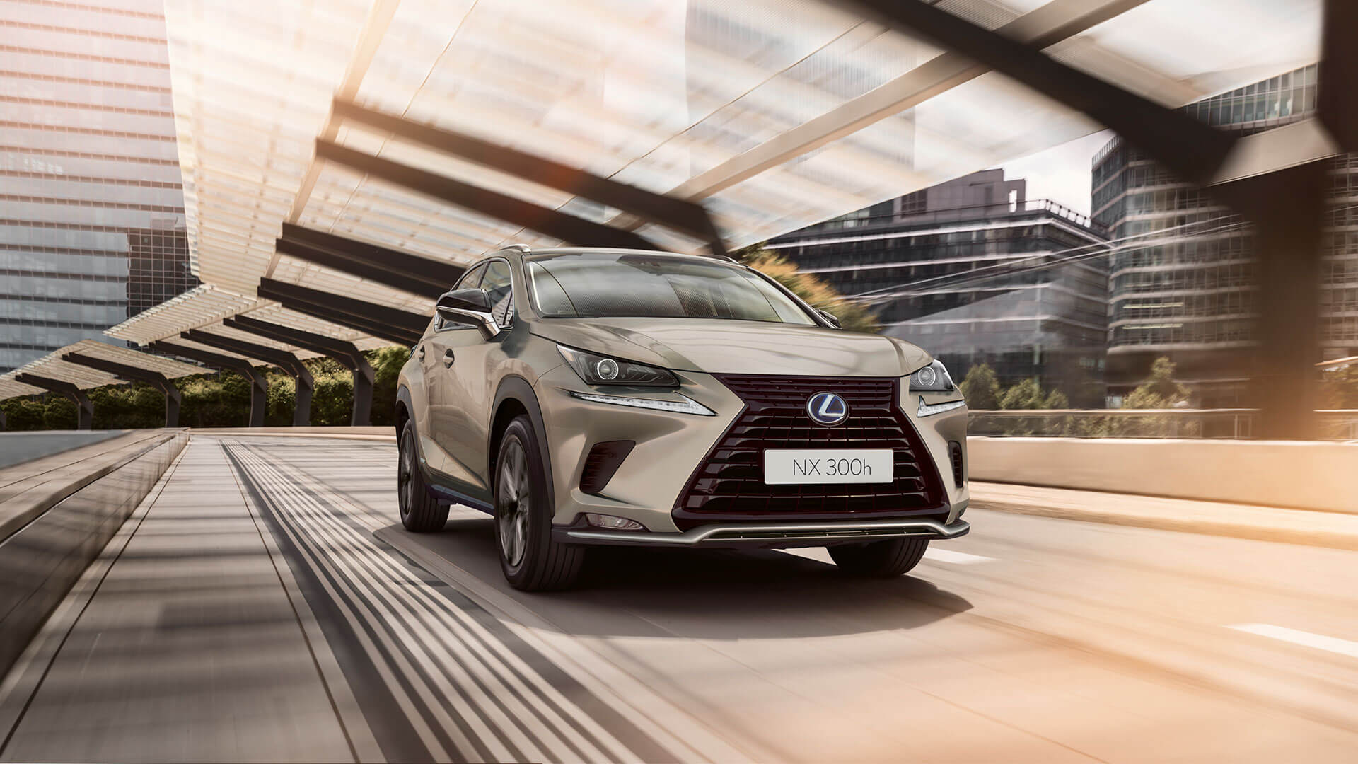 2021 lexus nx black line edition gallery 02