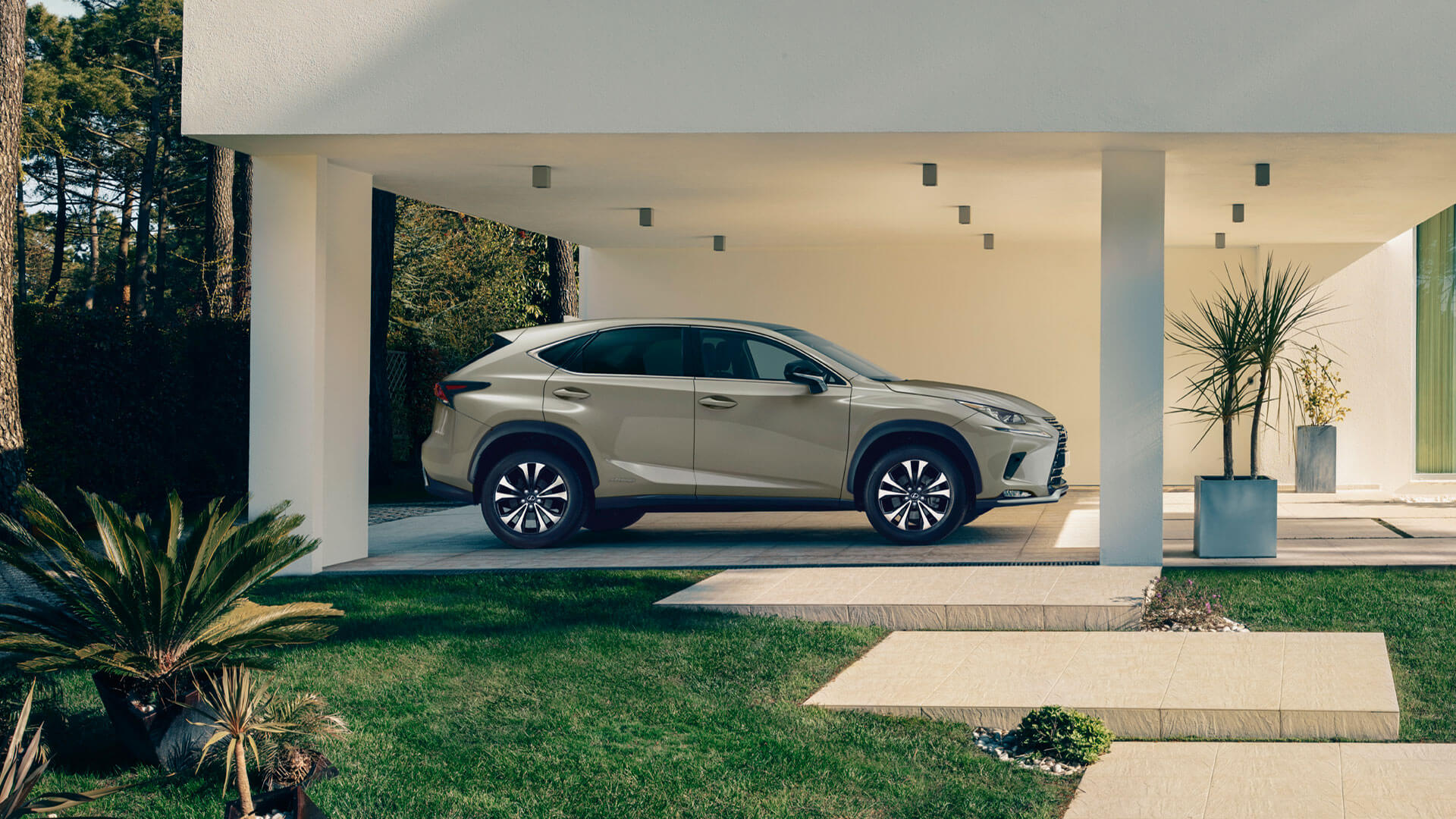 2021 lexus nx black line edition gallery 03