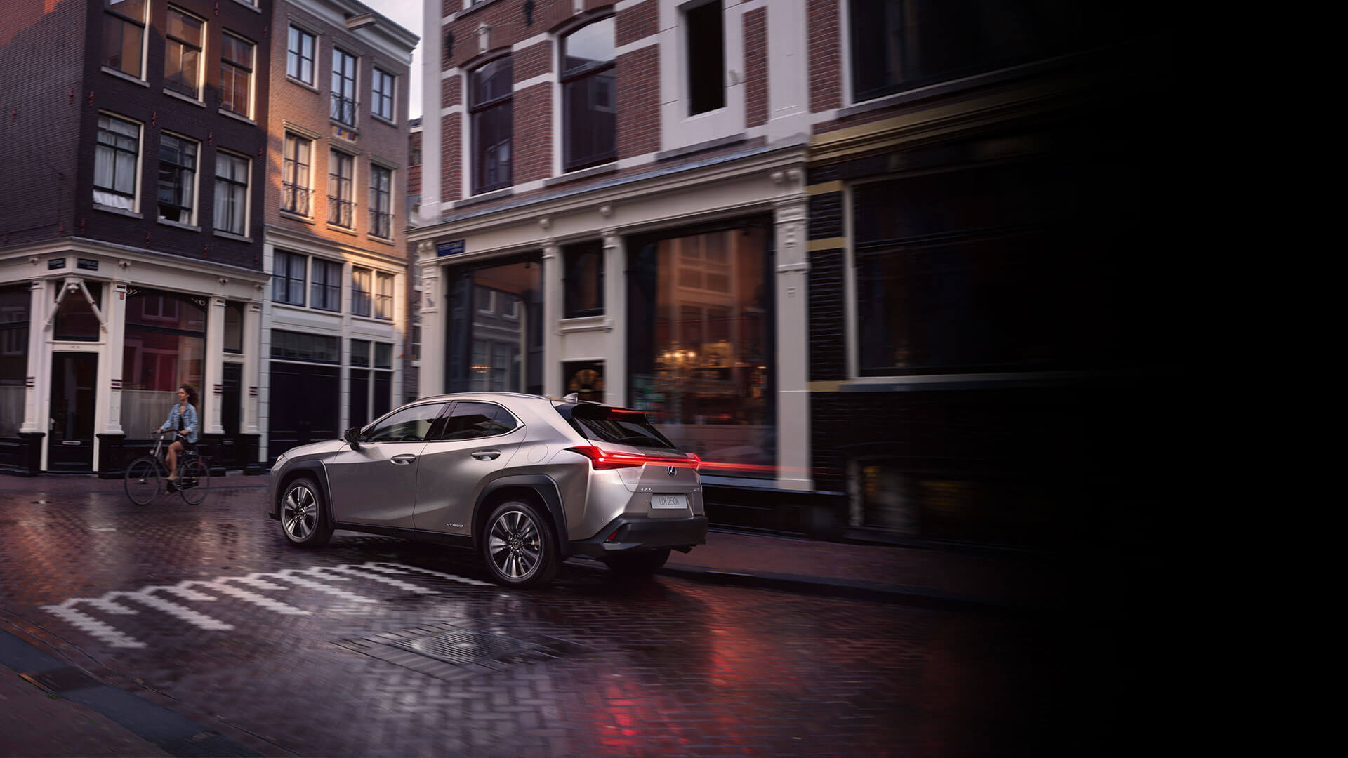 Achterkant grijze Lexus UX 250h