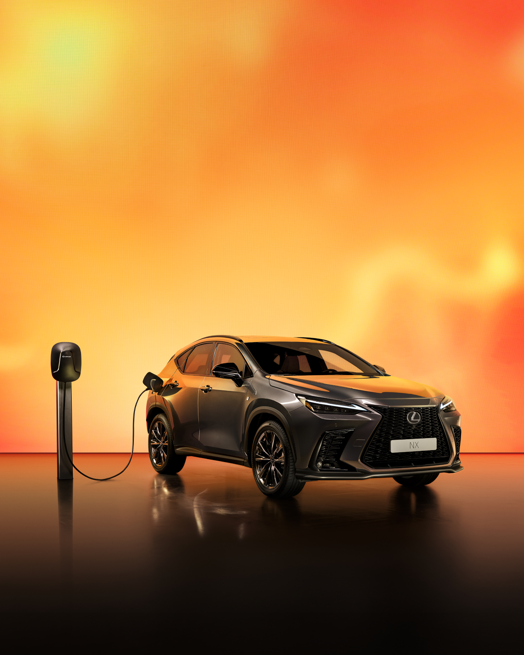 NX 4 5 SoMe bilde