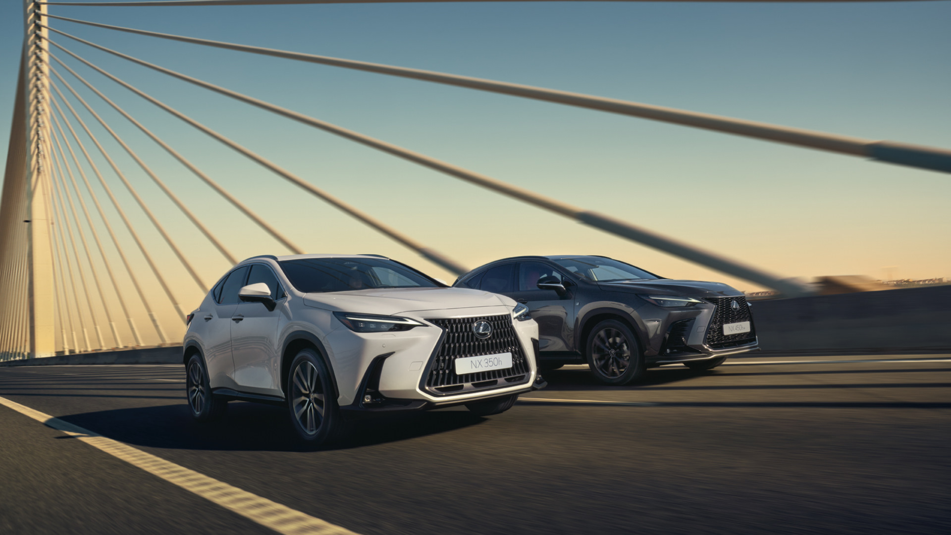Copy of 2022 all new nx gallery 010